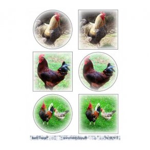 Klippeark Barto Haner M24