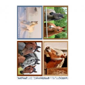 Klippeark Barto Heste M14