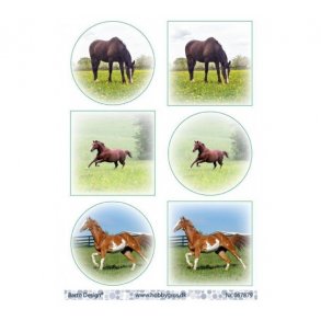 Klippeark Barto Heste M27