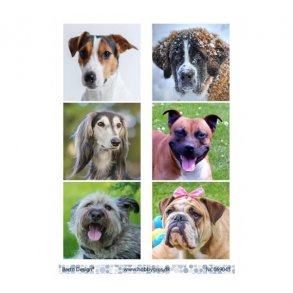 Klippeark Barto Hunde M1