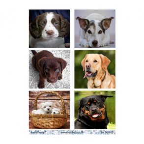 Klippeark Barto Hunde M26