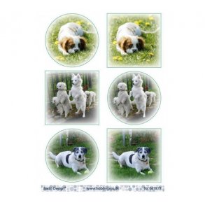 Klippeark Barto Hunde M27