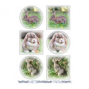 Klippeark Barto Kaniner M15A