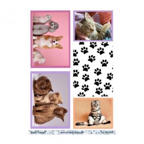 Klippeark Barto Katte & hunde M15