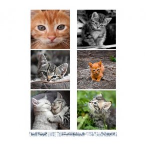 Klippeark Barto Killinger M14