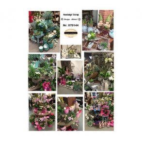 Klippeark blomsterhandler M40