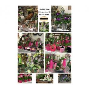 Klippeark blomster M40