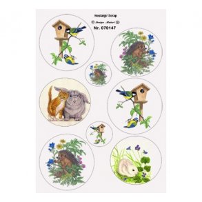 Klippeark dyr, fugle, pindsvin M40