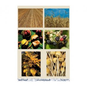 Klippeark Efterr M33