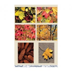 Klippeark Efterr M33