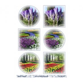 Klippeark Forrsblomster M33