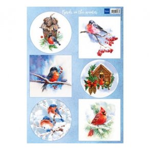 Klippeark Maranne 9572 Fugle M5