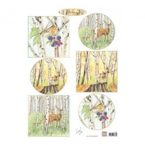 Klippeark Marianne 0612 Birkeskov M38