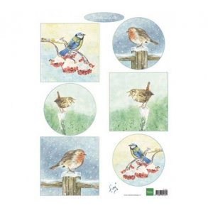 Klippeark Marianne 605 fugle M9