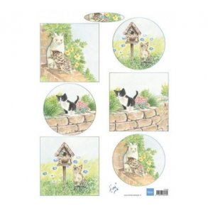 Klippeark Marianne 608 M41