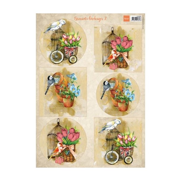 Product picture