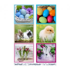 Klippeark Psketing M29