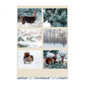 Klippeark - vinter M45