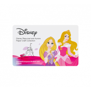 Kort til canvasworkspace Rapunzel & Tornerose m�nstre BESTILLINGSVARE