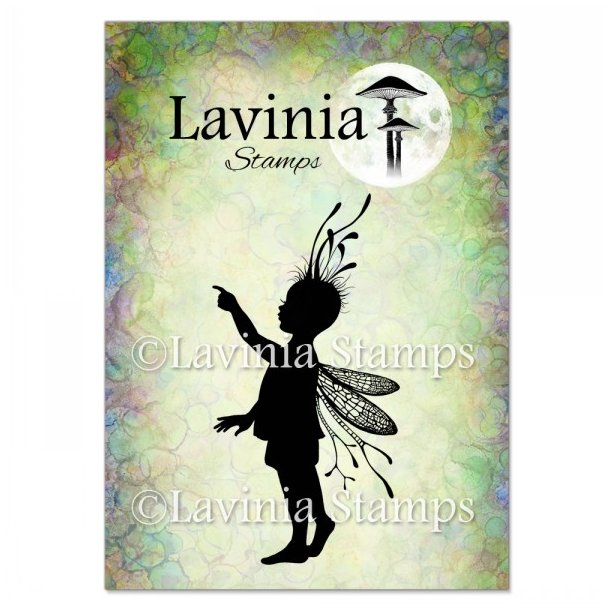 Rory Stamp Lavinia