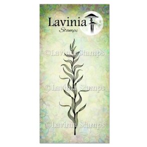 Marine Kelp Stamp Lavinia