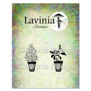 Dill & Sage Pots Stamp Lavinia