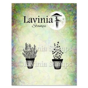 Rosemary & Thyme Pots Stamp Lavinia