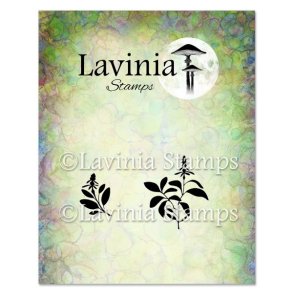 Sage Stamp Lavinia