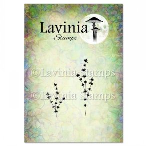 Thyme Stamp Lavinia