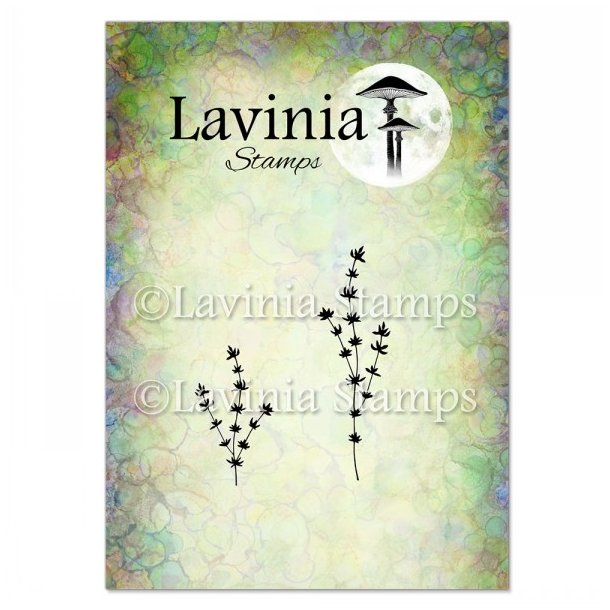 Thyme Stamp Lavinia