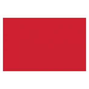 Liquitex SPRAY 400ML CAD RED MEDIUM HUE 0151