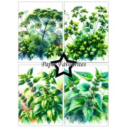 LS BEMRKNINGER Papirblok PFA578 Herbs A6 Paper Favourites BESTILLINGSVARE