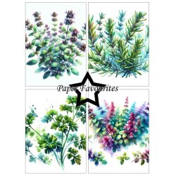 LS BEMRKNINGER Papirblok PFA578 Herbs A6 Paper Favourites BESTILLINGSVARE