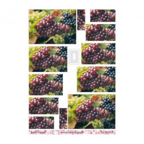 pyramide ark Druer M14