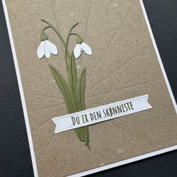 Die Snowdrop SBD512 Simple and Basic