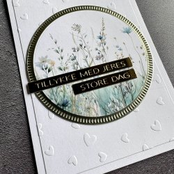 Die Combi Striped Frames - Circle SBD537 Simple and basic 