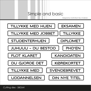 Die All-in-one Plate - eksamen SBD541 Simple and basic 