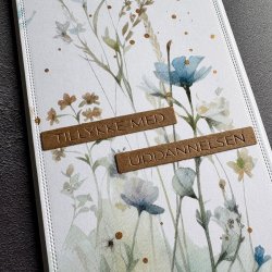 Die All-in-one Plate - eksamen SBD541 Simple and basic 