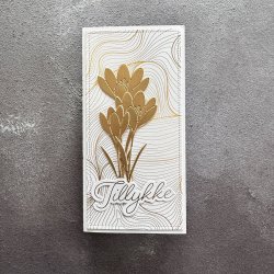Die Beautiful crocuses SBD649 Simple and basic 