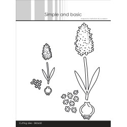 Die Hyacinths SBD650 Simple and basic 