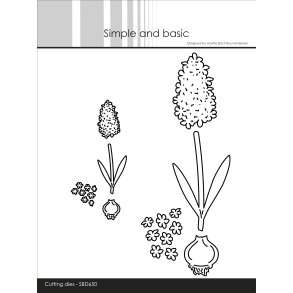 Die Hyacinths SBD650 Simple and basic 