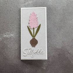Die Hyacinths SBD650 Simple and basic 