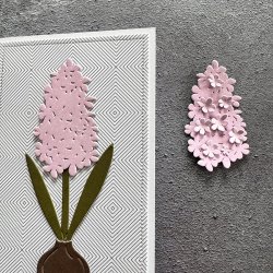 Die Hyacinths SBD650 Simple and basic 