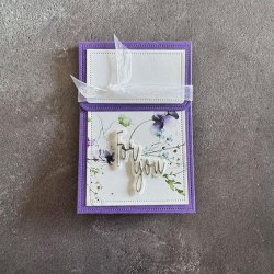 Die Jewelry packaging SBD671 