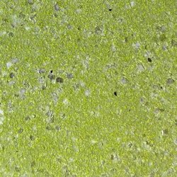 WOW Embossingpulver Lime Crush WL68R