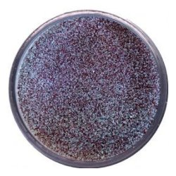 Wow regular wl17 Rose Gold 15ml 